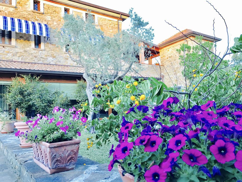 Casa Vacanze Il Cenito Castellabate Eksteriør bilde