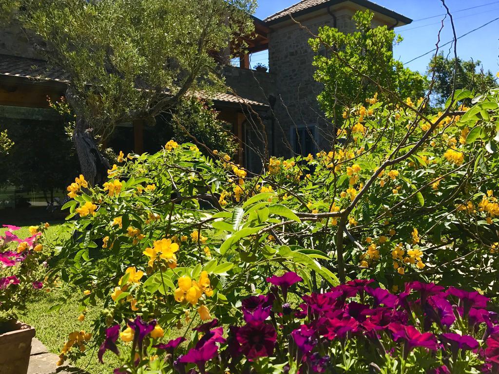 Casa Vacanze Il Cenito Castellabate Eksteriør bilde